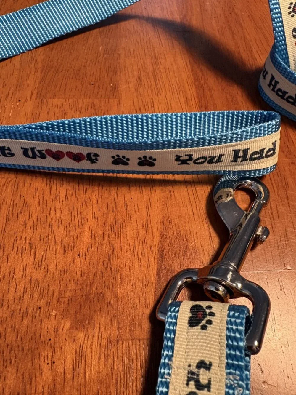 Dog Leash Webbing 66